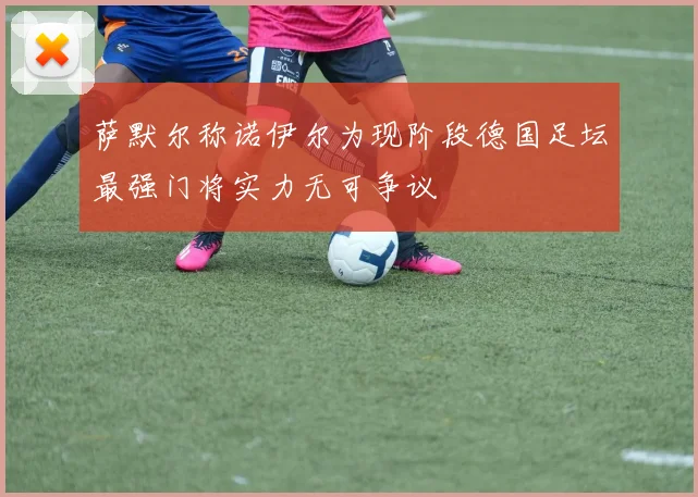 萨默尔称诺伊尔为现阶段德国足坛最强门将实力无可争议